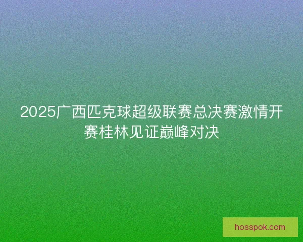 2025广西匹克球超级联赛总决赛激情开赛桂林见证巅峰对决 2025广西匹克球超级联赛总决赛激情开赛桂林见证巅峰对决