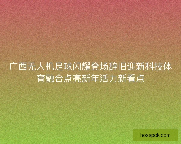 广西无人机足球闪耀登场辞旧迎新科技体育融合点亮新年活力新看点